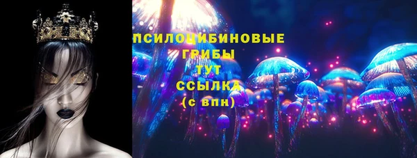 дурь Арсеньев