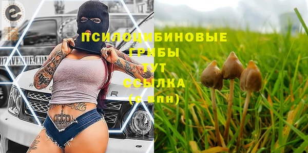 крисы Армянск