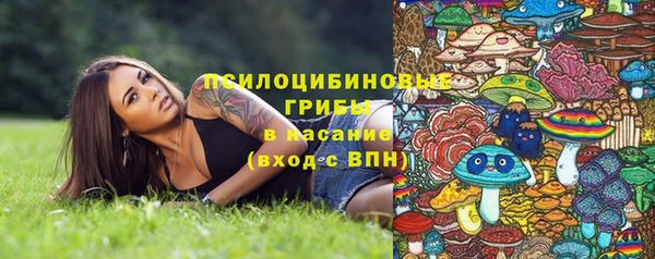 крисы Армянск