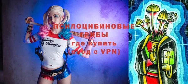 дурь Арсеньев