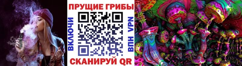 KRAKEN ССЫЛКА  Белгород  Галлюциногенные грибы GOLDEN TEACHER 